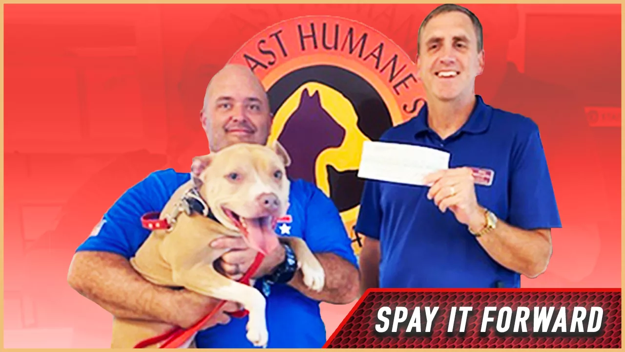 SPAY IT FORWARD