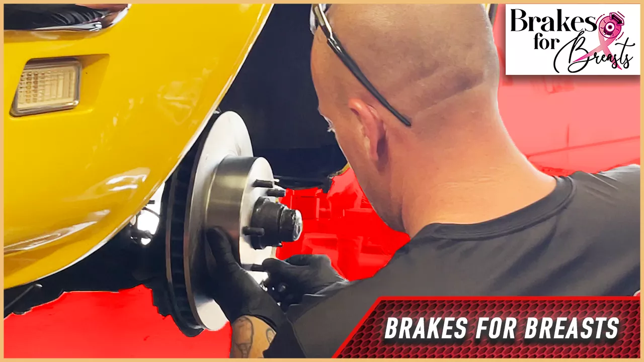 BRAKES FOR BREASTS