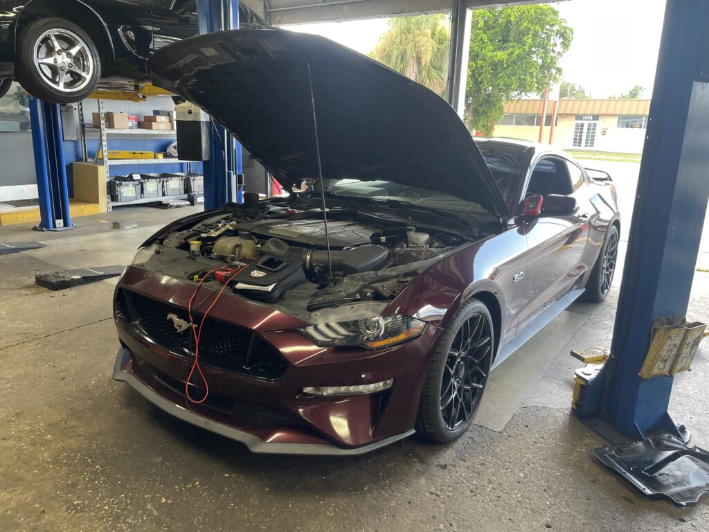 Red Mustang Automotive Electrical Service Repair Fort Myers